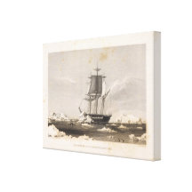 Die Antarktis 2 Gespannter Galeriedruck