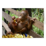 Die Bananen-Picknick des Babys Grußkarte