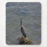 Die blaue Reiher-Mausunterlage Mousepad