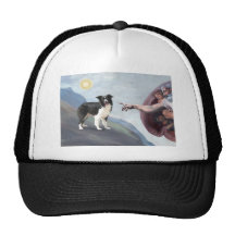Die Border-Collie des Gottes (Z) Truckerkappe