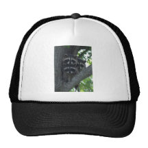 Die drei Freunde Baseball Kappe