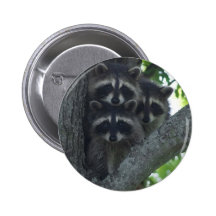 Die drei Freunde Buttons