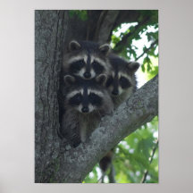 Die drei Freunde Posterdruck