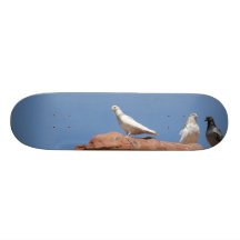 Die einzige Taube Skateboardbrett