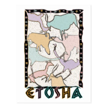 Die Etosha Postkarte