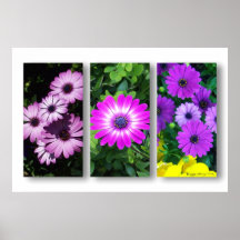 Die Farbe lila Plakat