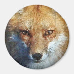 Die Geschenke u. Grüße roten Fox Kühlschrankmagnet