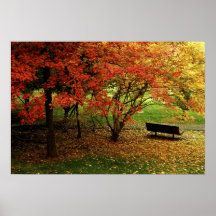 Die Herbst-Bank Posterdrucke