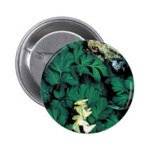 Die Hinterteile des Holländers Button