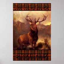 Die Hochländer Schottland - der schottische Hirsch Posterdruck