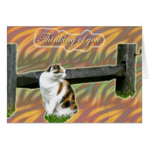 Die Kaliko-Miezekatze-Katze, die an Sie denkt, kar Grußkarte