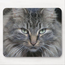 Die Katzenaugen haben es Mauspad