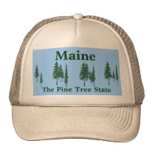 Die Kiefern-Baum-Staat Kappe Maines,
