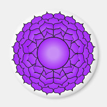 Die Krone Chakra Magnete