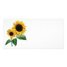 Die Liebe einer Sonnenblume-Mama Bildkarte