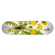 Die Löwenzahn-Sammlung Skateboarddecks