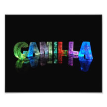Die Namenscamilla in den Lichtern 3D Kunstphotos
