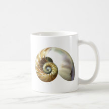 Die nautilus-Muschel Kaffee Tasse