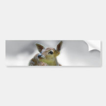 Die Neugier des Babyrotwilds Autosticker