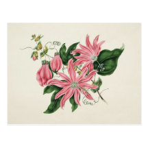 Die racemose Passionflower-Postkarte