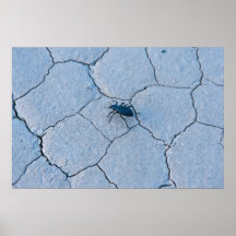 Die Rennstrecke, Death Valley Plakate