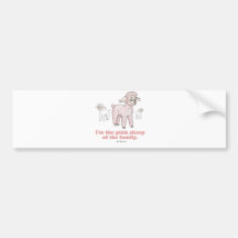 DIE ROSA SCHAFE AUTOSTICKER