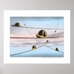 Die Schneckebahnen Posterdruck