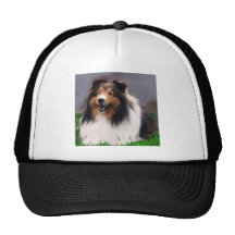 Die Shetlandinseln-Schäferhund Sheltie Kunst-Gesch Retrokappe