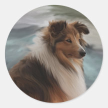 Die Shetlandinseln-Schäferhund Sticker