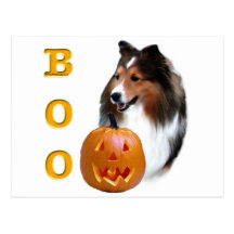 Die Shetlandinseln-Schäferhund(Zobel) Boo Postkarte
