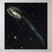 Die tadpole-Galaxie Poster