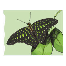 Die Tarnungs-Schmetterling der Natur Postkarte