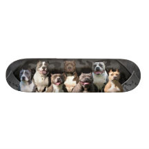 Die Unberührbarer - Pitbull Meister-Reihe Personalisiertes Skateboarddeck
