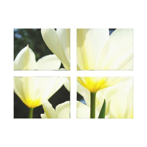 Die vier Platten-Tulpe-botanische Leinwand druckt 