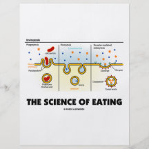 Die Wissenschaft des Essens (Endocytosis Biologie- Vollfarbige Flyer