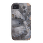 Die Zähne des Drachen - Telefon-Kasten Case-Mate iPhone 4 Hülle