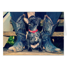 Diese Stiefel Karten