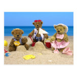 Dinky Bärn-Strand-Spaß postkarten