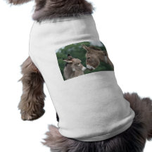 Dinky Esel Hunde Shirt