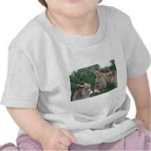 Dinky Esel Shirts