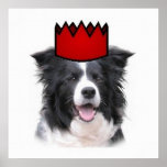 Ditzy Dogs~Original Poster~Border Collie