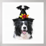 Ditzy Dogs~Original Poster~Border Collie