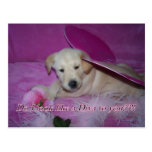 Diva-Welpe?? Postkarte