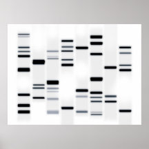 DNS kodiert Kunst-Schwarzes auf Weiß Plakatdrucke