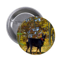 Dobermann Anstecknadelbutton