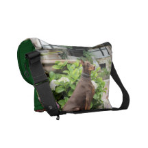 Dobermann - im Kirchen-Garten Kurier Taschen