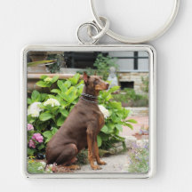 Dobermann - im Kirchen-Garten Schlüsselband