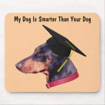 Dobermann mein Hund intelligenteres als lustiges M