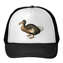 Dodo-Hut Retrokultmütze