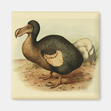 Dodo-Magnet Kühlschrankmagnet